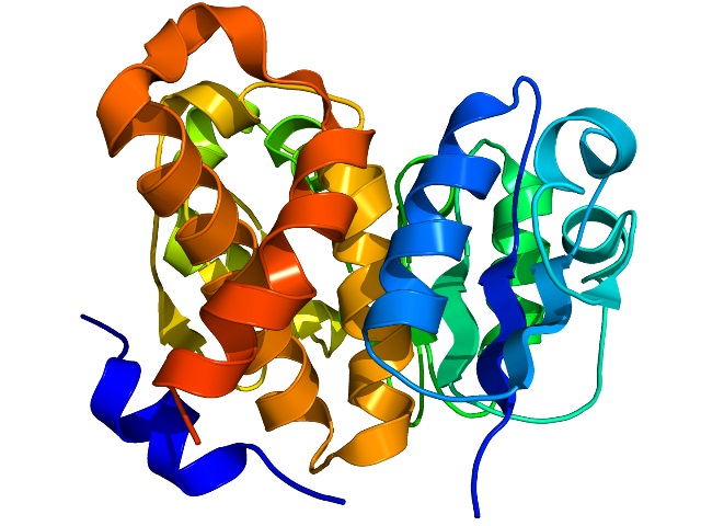 Carbohydrate kinase 1KYH